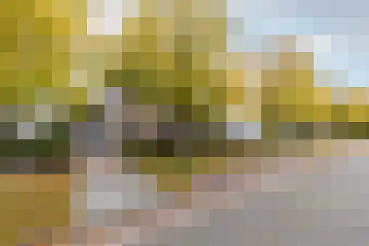 Vincent van Goghlaan 40 Waalwijk thumbnail 41