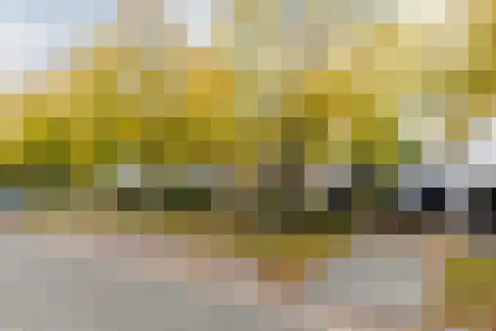 Vincent van Goghlaan 40 Waalwijk thumbnail 42