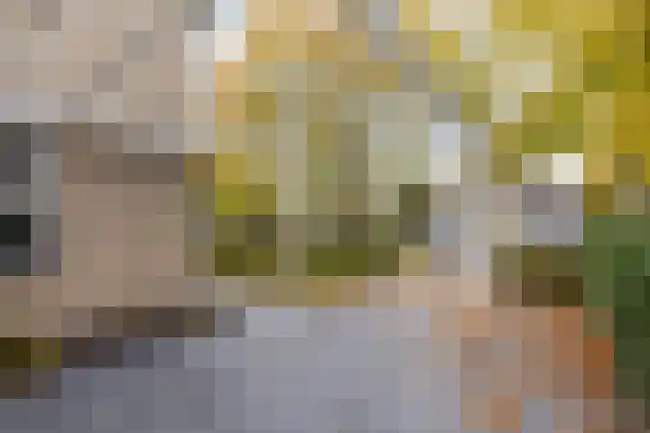 Vincent van Goghlaan 40 Waalwijk thumbnail 43
