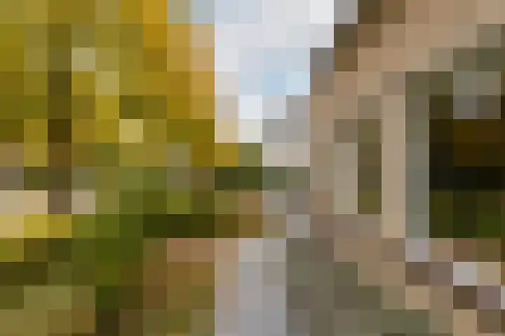 Vincent van Goghlaan 40 Waalwijk thumbnail 44