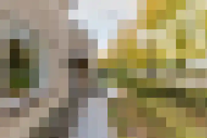 Vincent van Goghlaan 40 Waalwijk thumbnail 45
