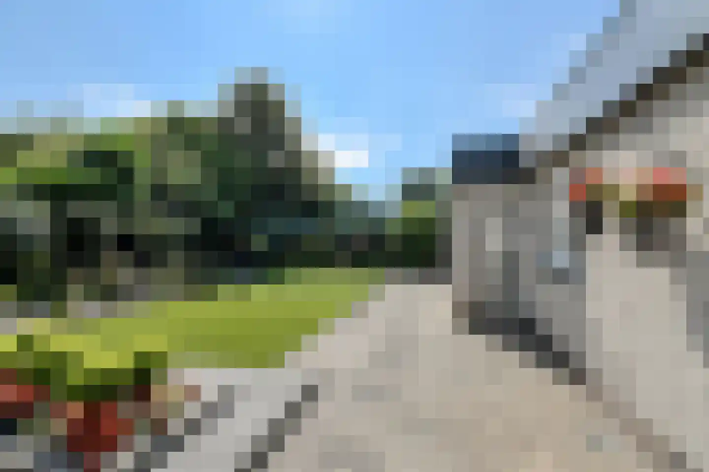 Vincent van Goghlaan 49 Oosterhout thumbnail 33