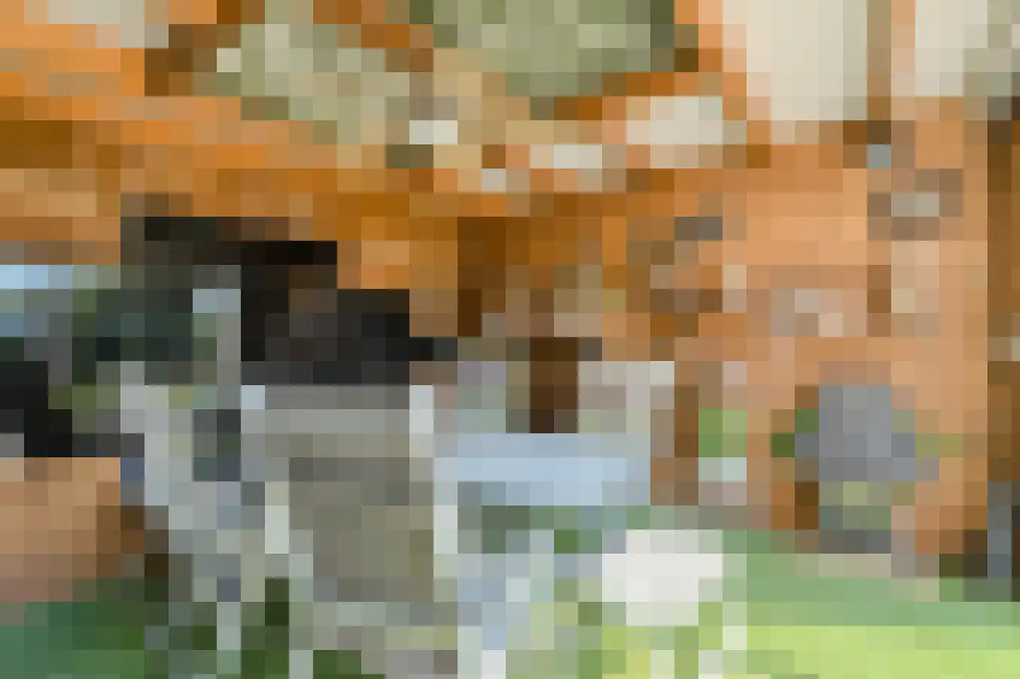 Vincent van Goghlaan 49 Oosterhout thumbnail 36