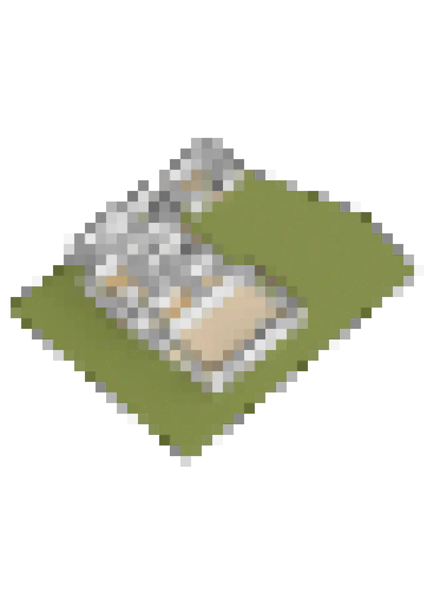 Vincent van Goghlaan 49 Oosterhout thumbnail 44