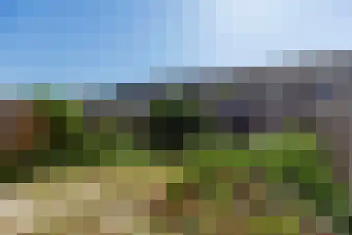 Vincent van Goghlaan 49 Papendrecht thumbnail 27