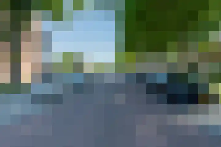 Vincent van Goghlaan 49 Papendrecht thumbnail 29