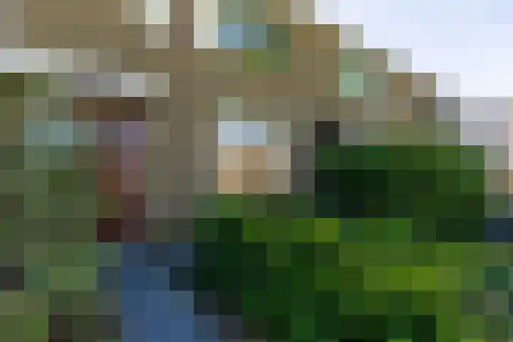 Vincent van Goghlaan 49 Papendrecht thumbnail 5