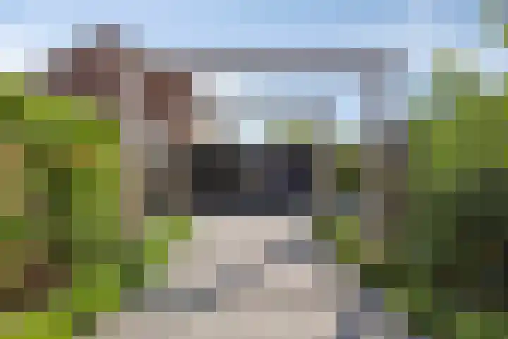 Vincent van Goghlaan 5 Woerden thumbnail 26