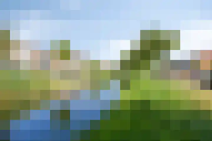Vincent van Goghlaan 5 Woerden thumbnail 34