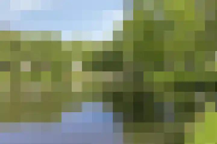 Vincent van Goghlaan 5 Woerden thumbnail 35