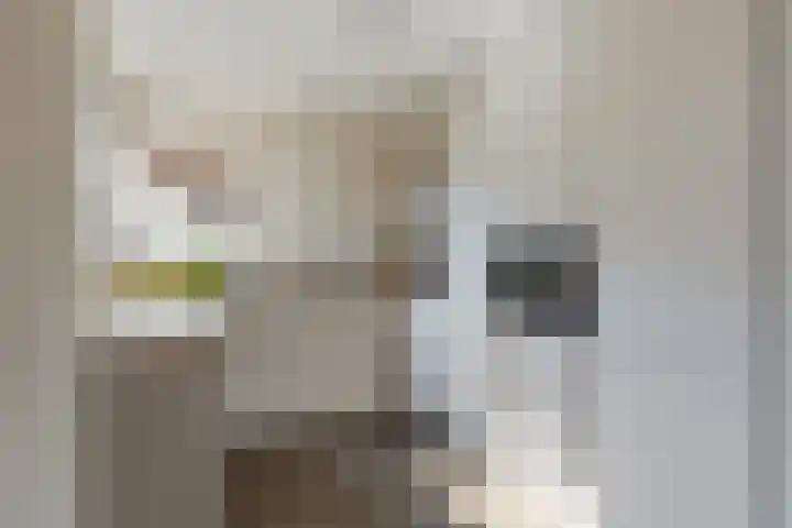 Vincent van Goghlaan 5 Woerden thumbnail 8