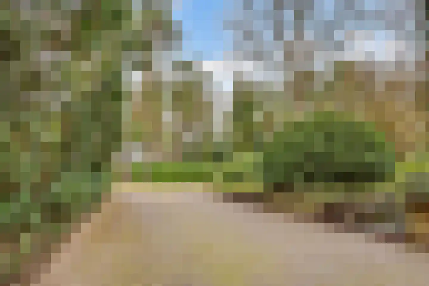 Vincent van Goghlaan 6 Bosch en Duin thumbnail 43