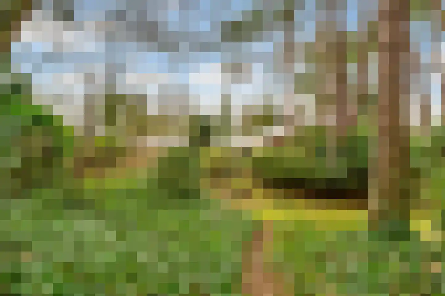 Vincent van Goghlaan 6 Bosch en Duin thumbnail 45