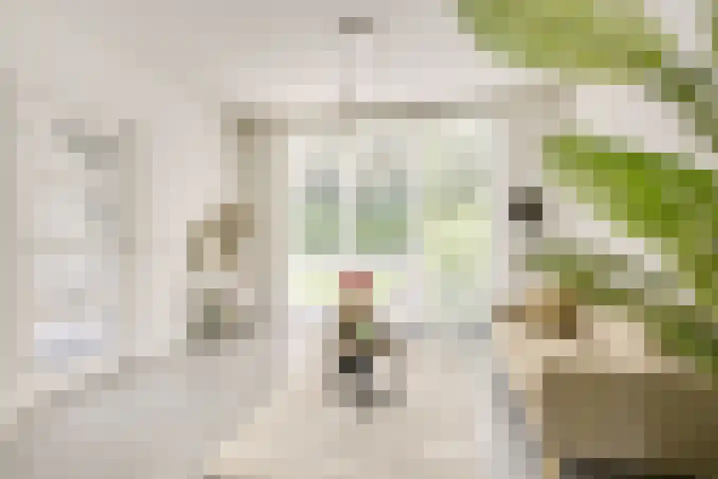 Vincent van Goghlaan 6 Doorn thumbnail 10