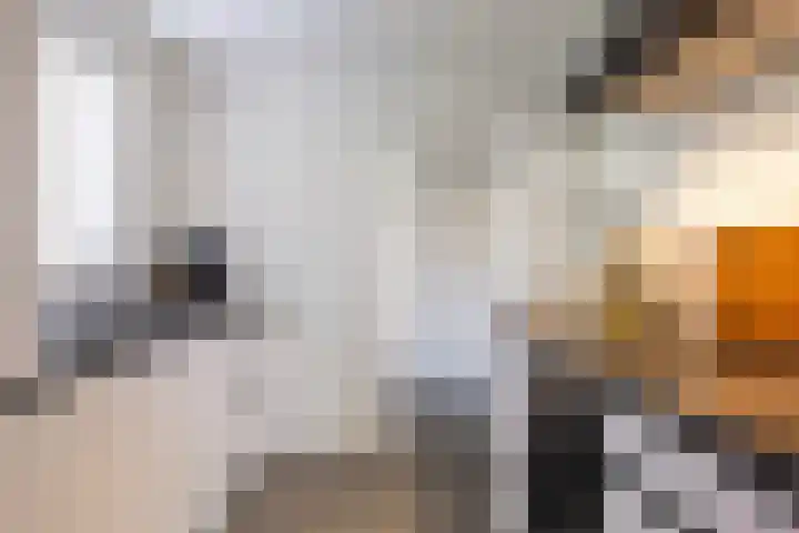 Vincent van Goghlaan 6 Doorn thumbnail 12