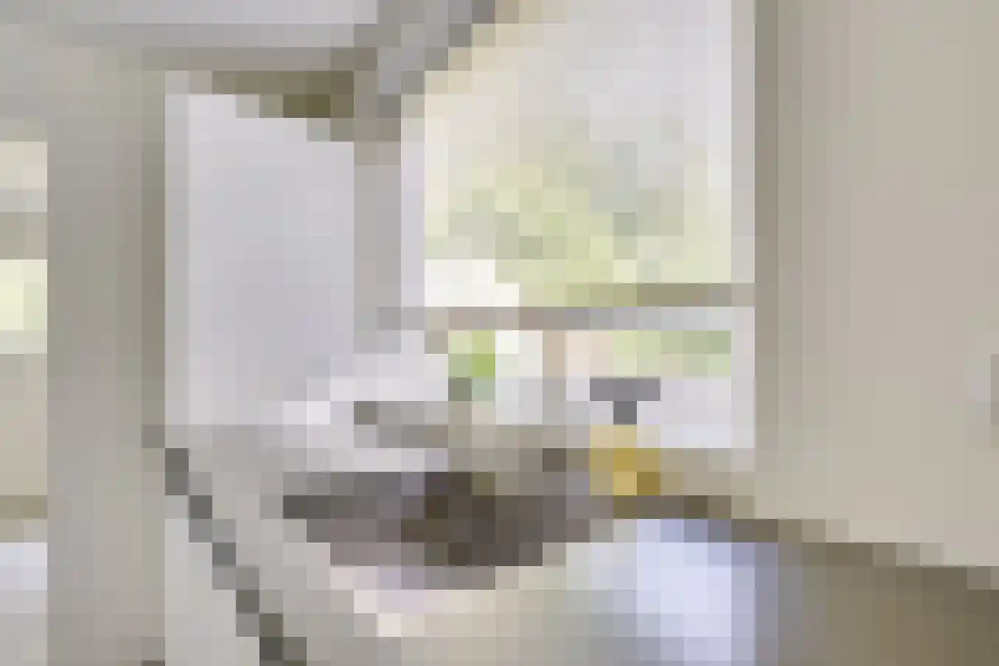 Vincent van Goghlaan 6 Doorn thumbnail 21