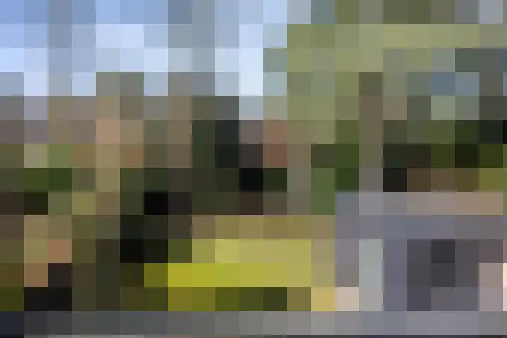 Vincent van Goghlaan 6 Doorn thumbnail 22
