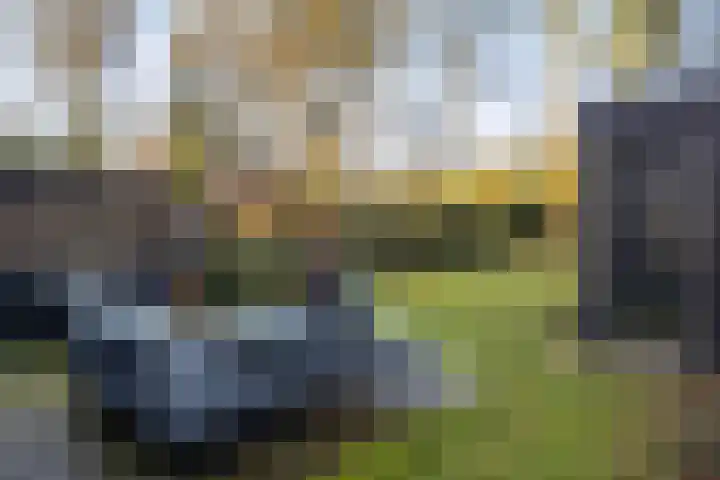 Vincent van Goghlaan 6 Doorn thumbnail 27