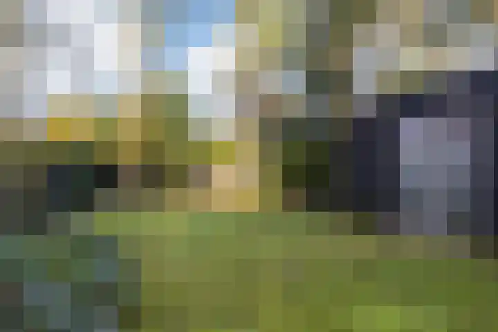 Vincent van Goghlaan 6 Doorn thumbnail 30