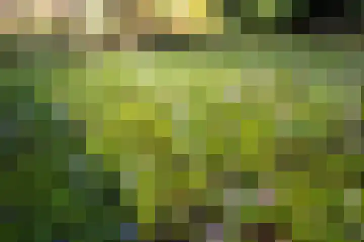 Vincent van Goghlaan 6 Doorn thumbnail 31