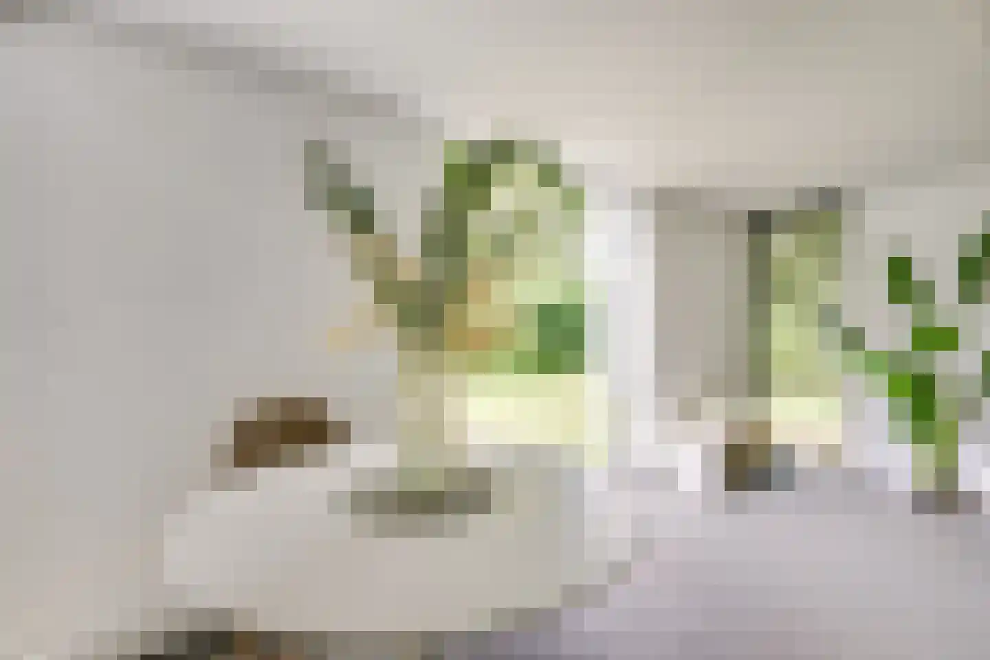 Vincent van Goghlaan 6 Doorn thumbnail 37