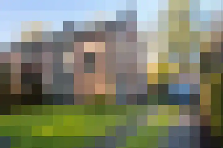Vincent van Goghlaan 6 Doorn thumbnail 44