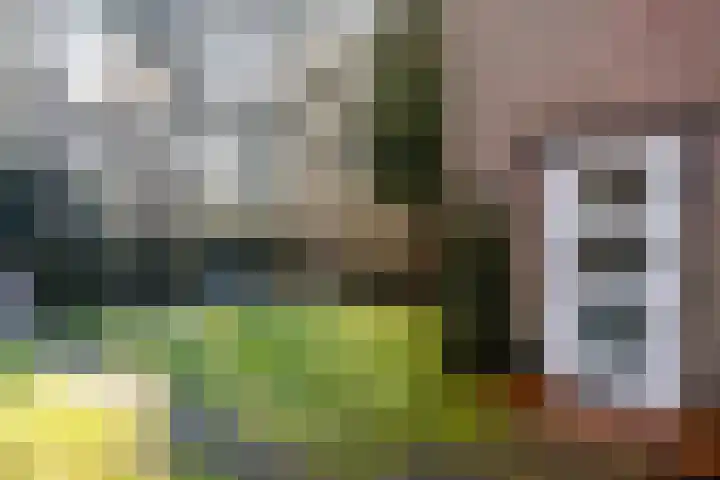 Vincent van Goghlaan 6 Doorn thumbnail 46