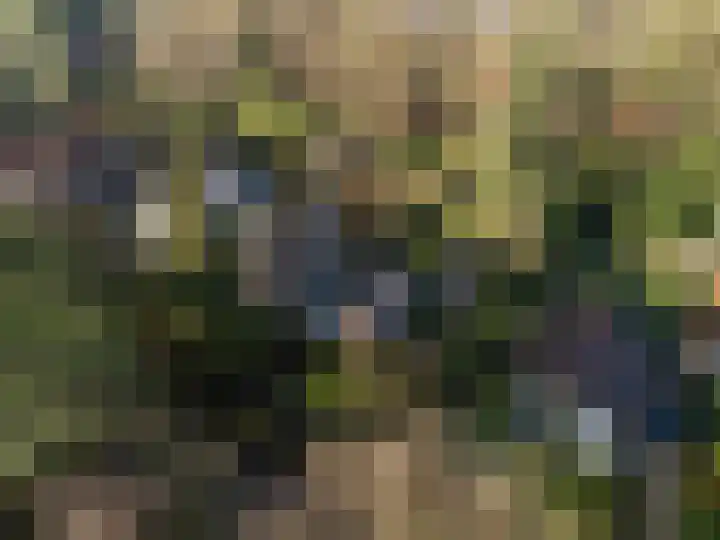Vincent van Goghlaan 6 Doorn thumbnail 47