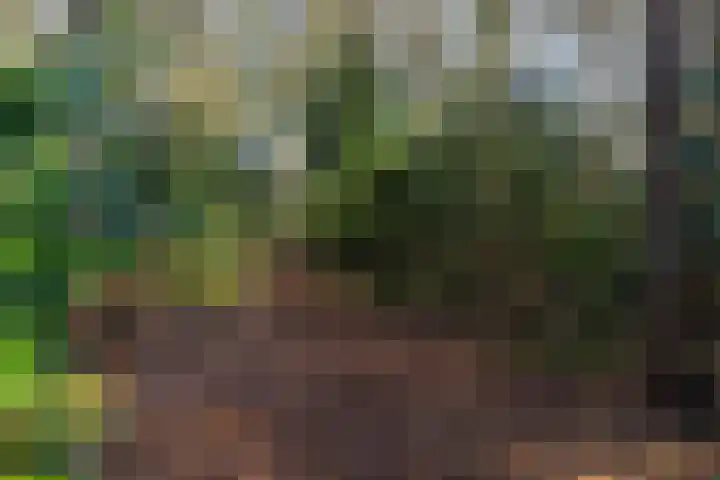 Vincent van Goghlaan 6 Doorn thumbnail 49