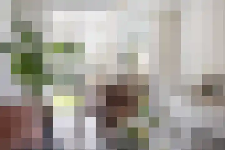 Vincent van Goghlaan 6 Doorn thumbnail 6