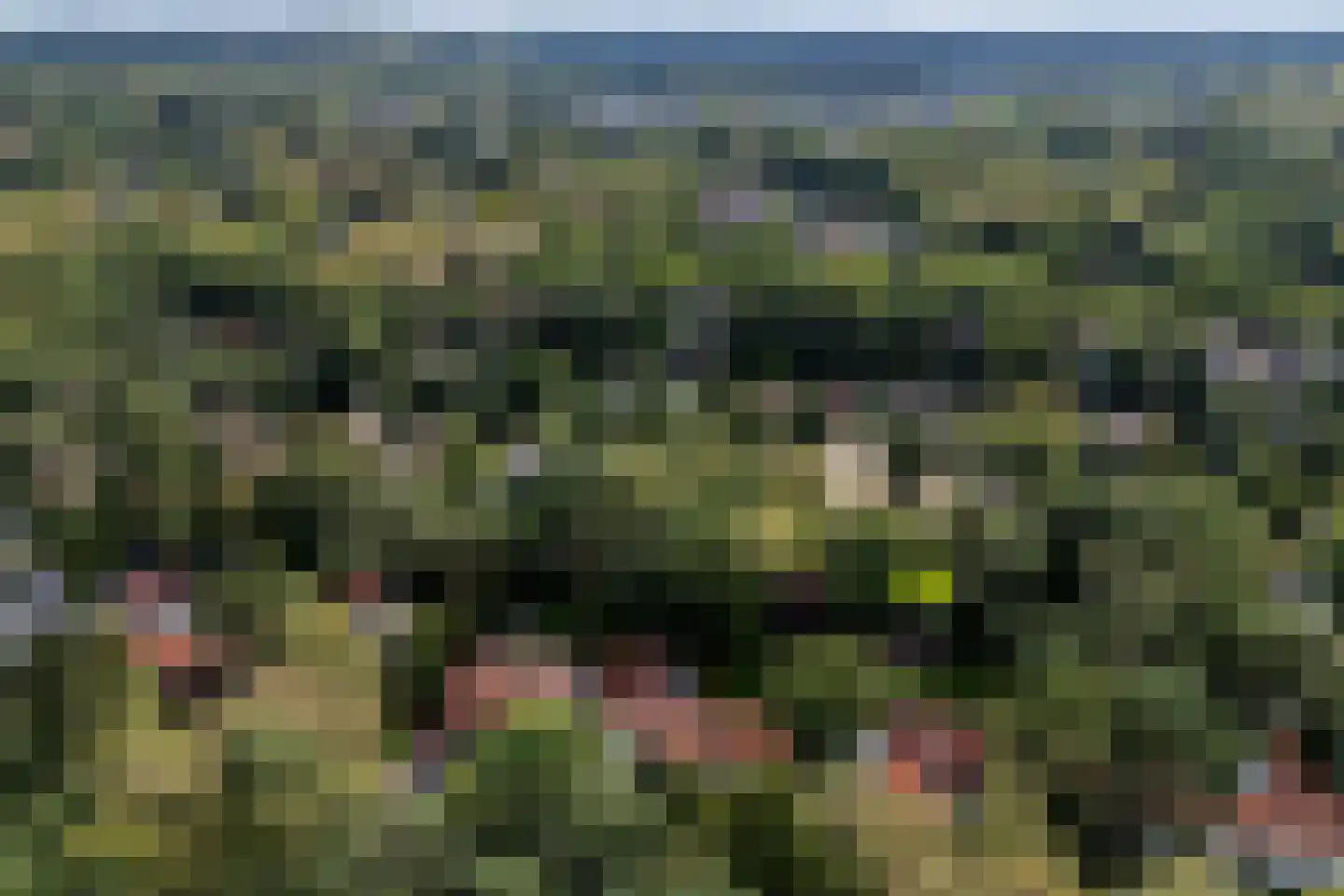 Vincent van Goghlaan 6 Doorn thumbnail 61