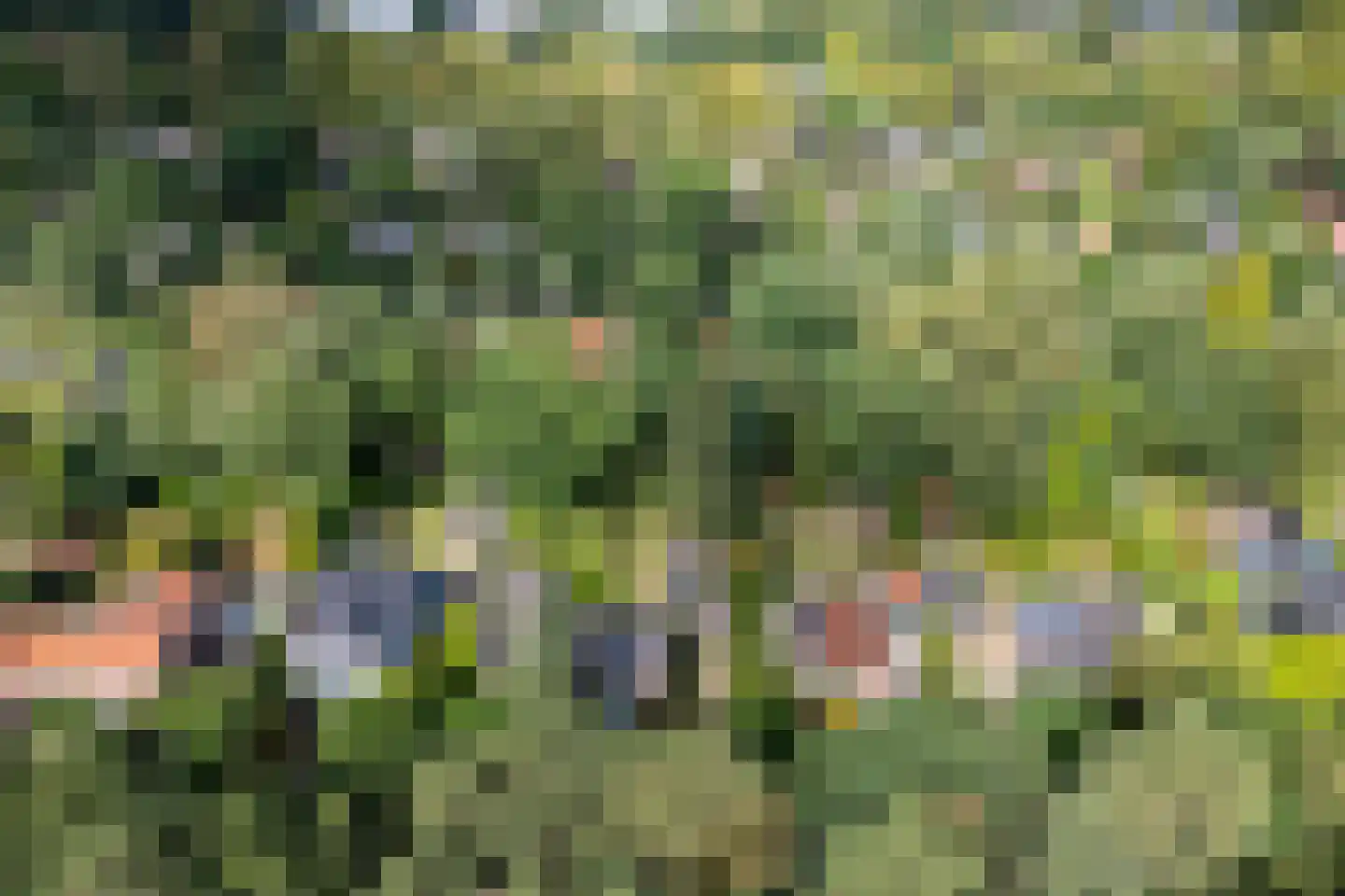 Vincent van Goghlaan 6 Doorn thumbnail 63