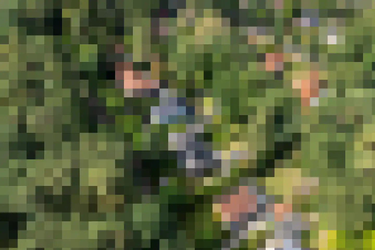 Vincent van Goghlaan 6 Doorn thumbnail 64