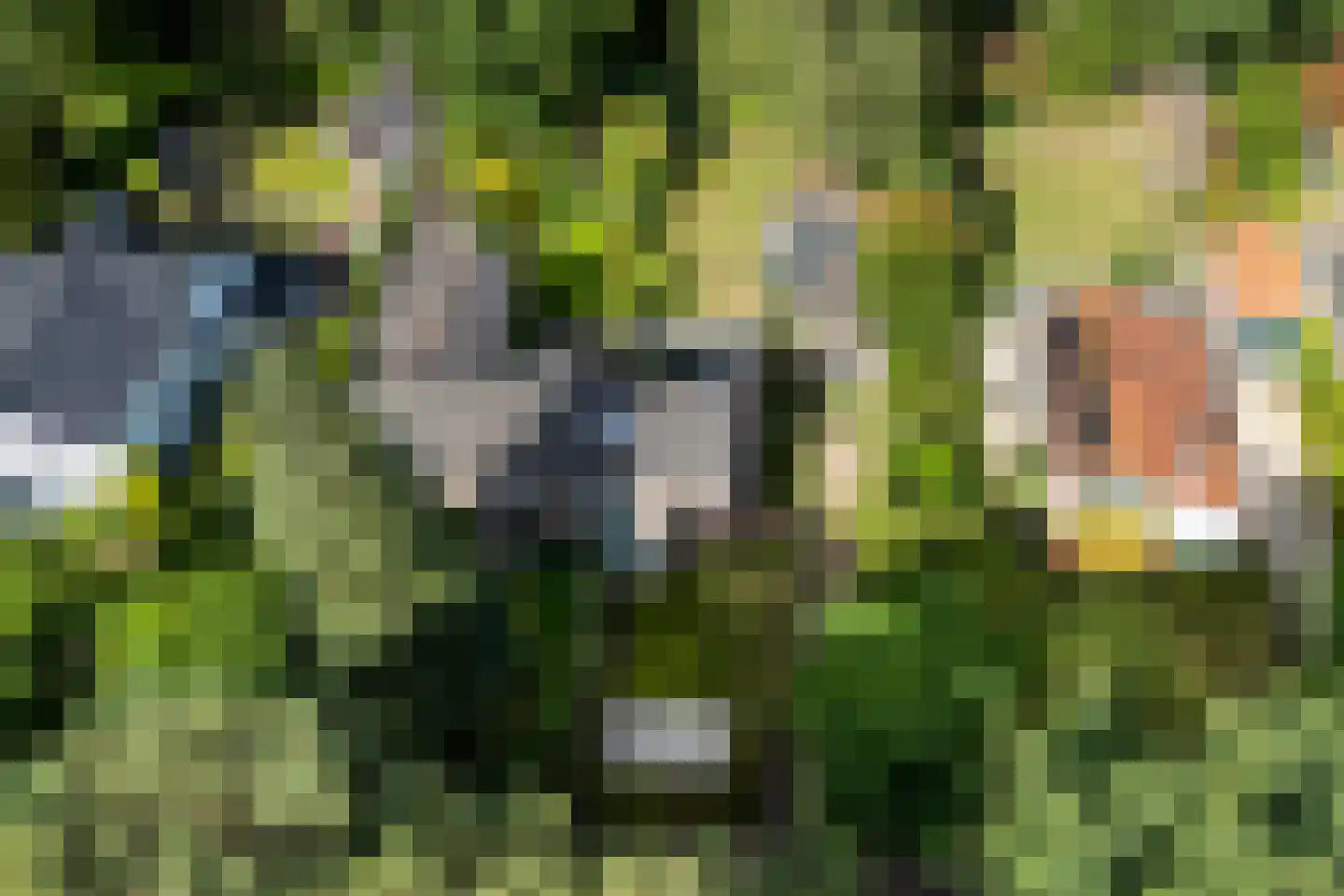 Vincent van Goghlaan 6 Doorn thumbnail 65