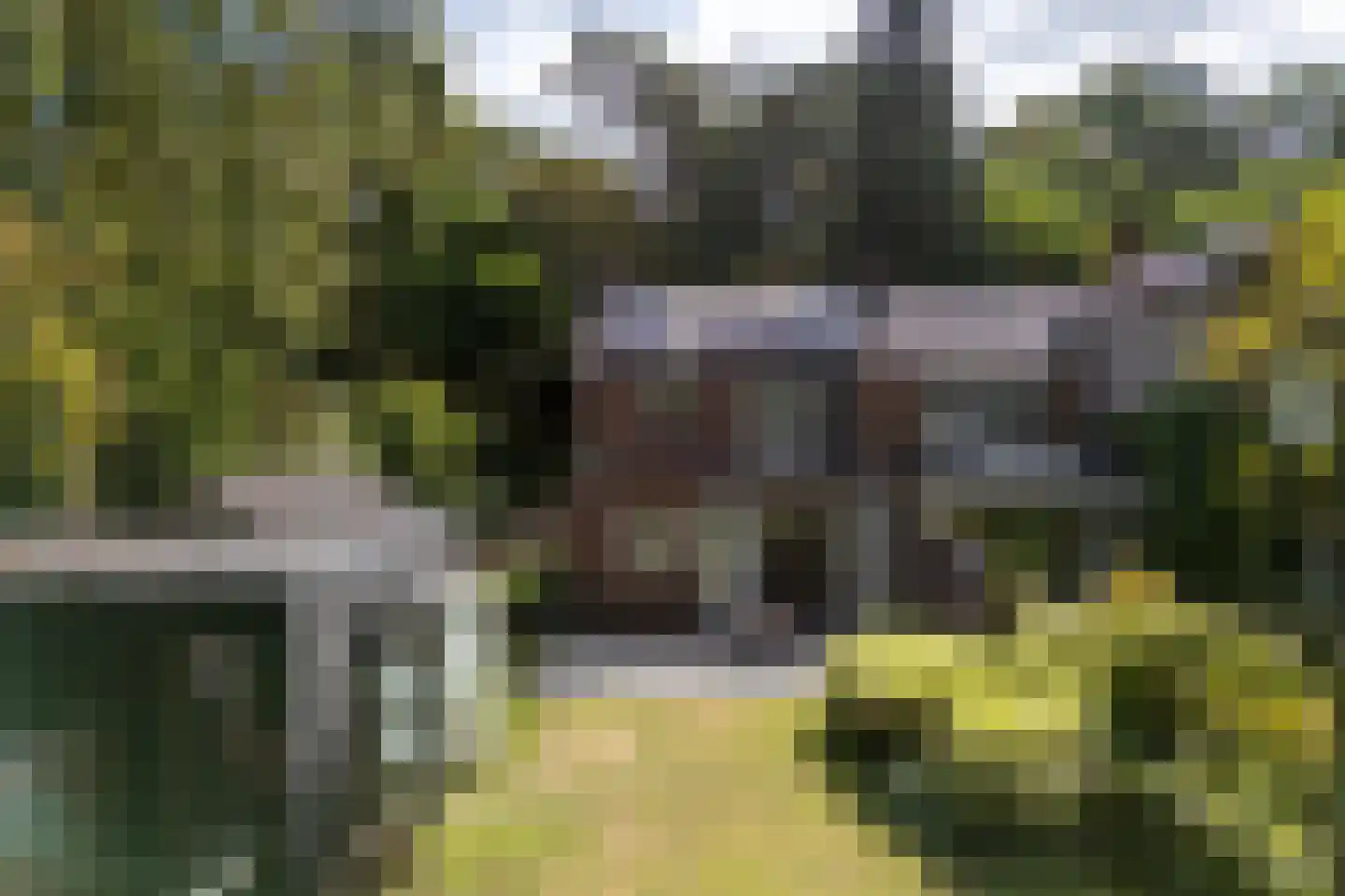 Vincent van Goghlaan 6 Doorn thumbnail 66