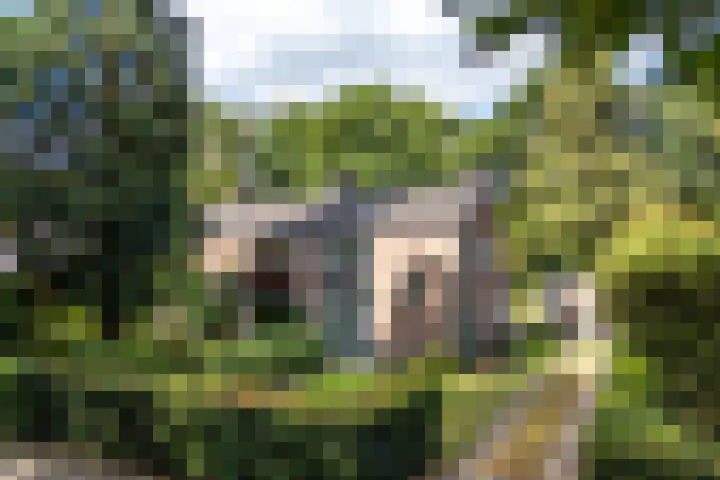 Vincent van Goghlaan 6 Doorn thumbnail 67