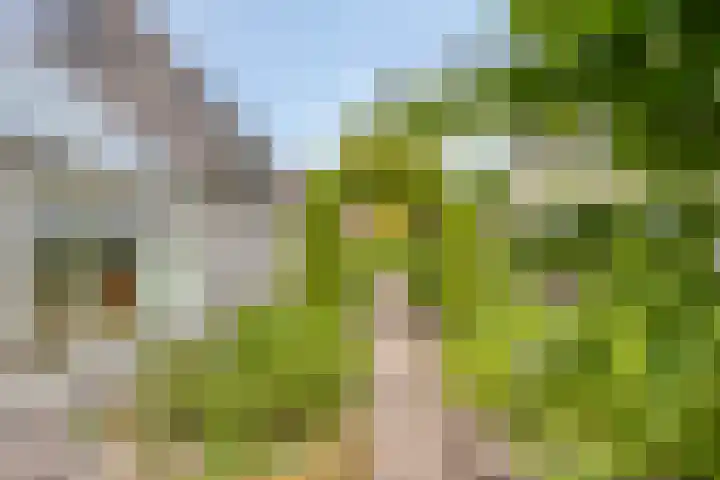 Vincent van Goghlaan 62 Enschede thumbnail 28