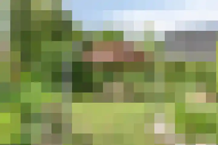 Vincent van Goghlaan 62 Enschede thumbnail 32