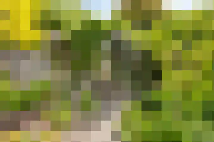 Vincent van Goghlaan 62 Enschede thumbnail 33