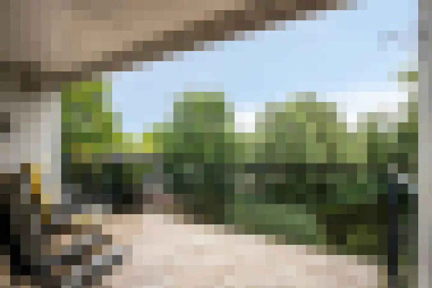 Vincent van Goghlaan 7 C Rosmalen thumbnail 10