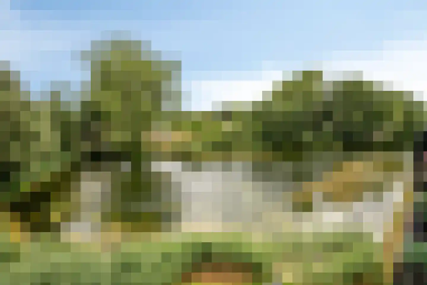 Vincent van Goghlaan 7 C Rosmalen thumbnail 11