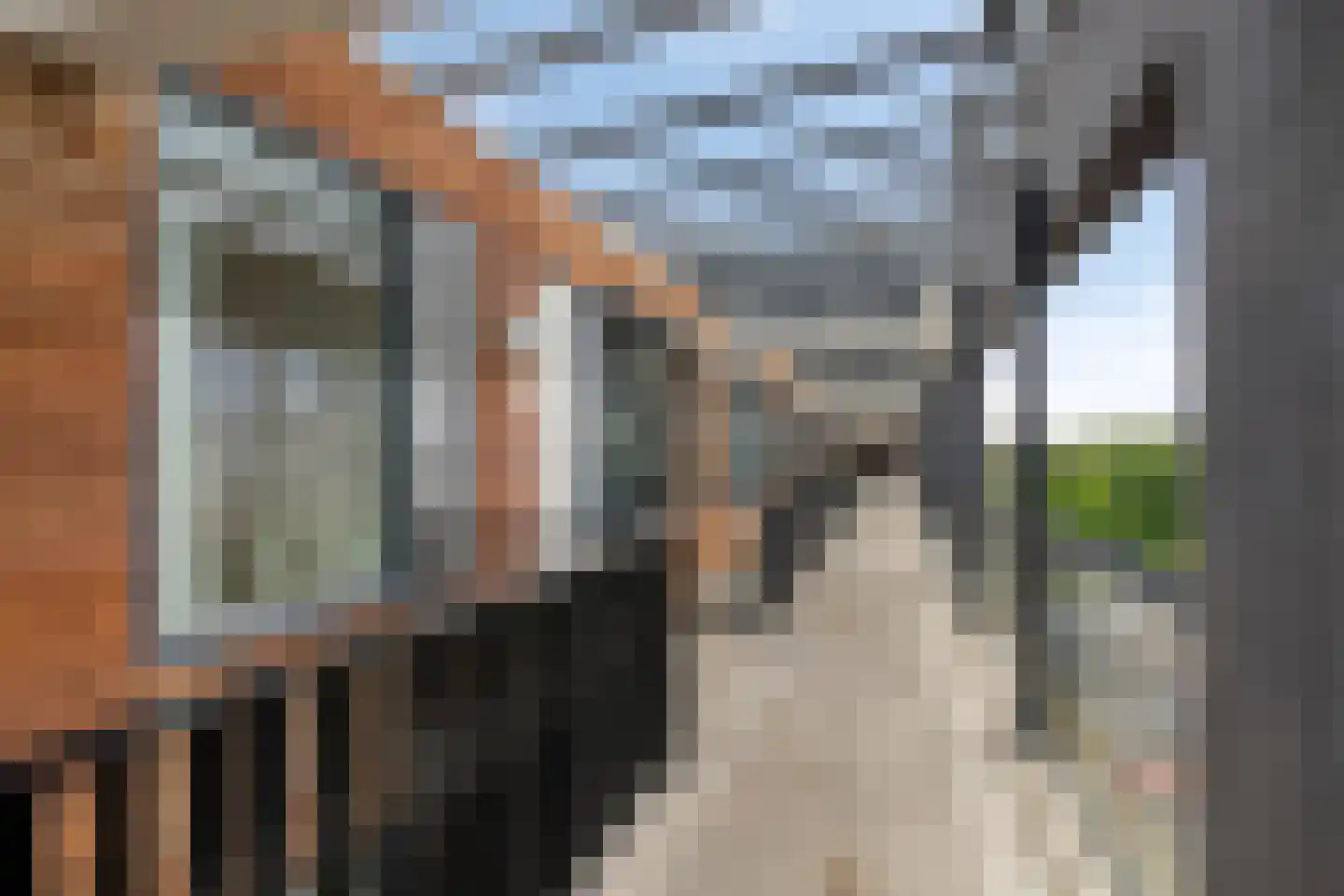 Vincent van Goghlaan 7 C Rosmalen thumbnail 33