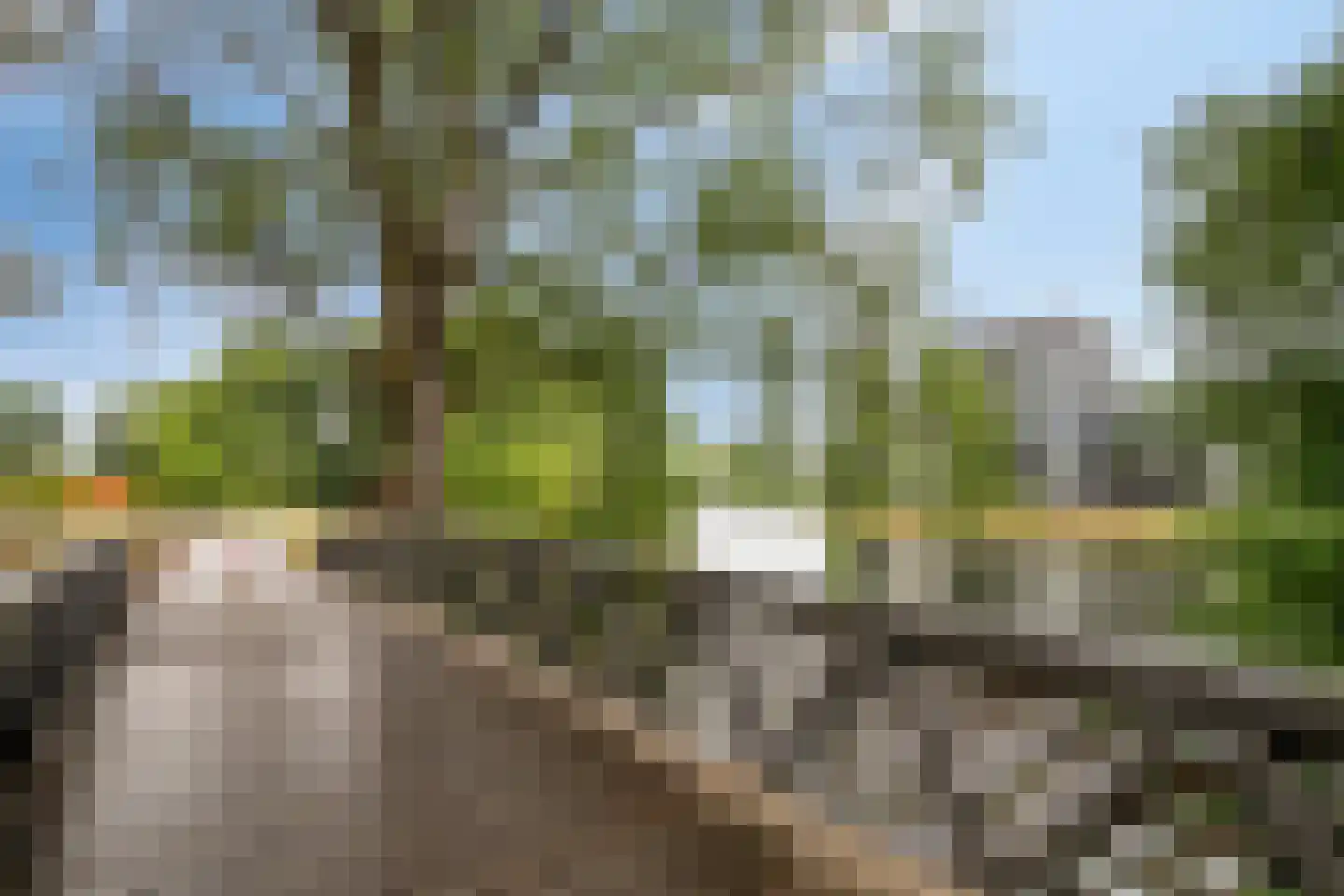 Vincent van Goghlaan 7 C Rosmalen thumbnail 35