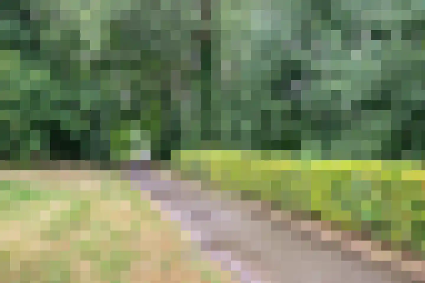 Vincent van Goghlaan 7 C Rosmalen thumbnail 36