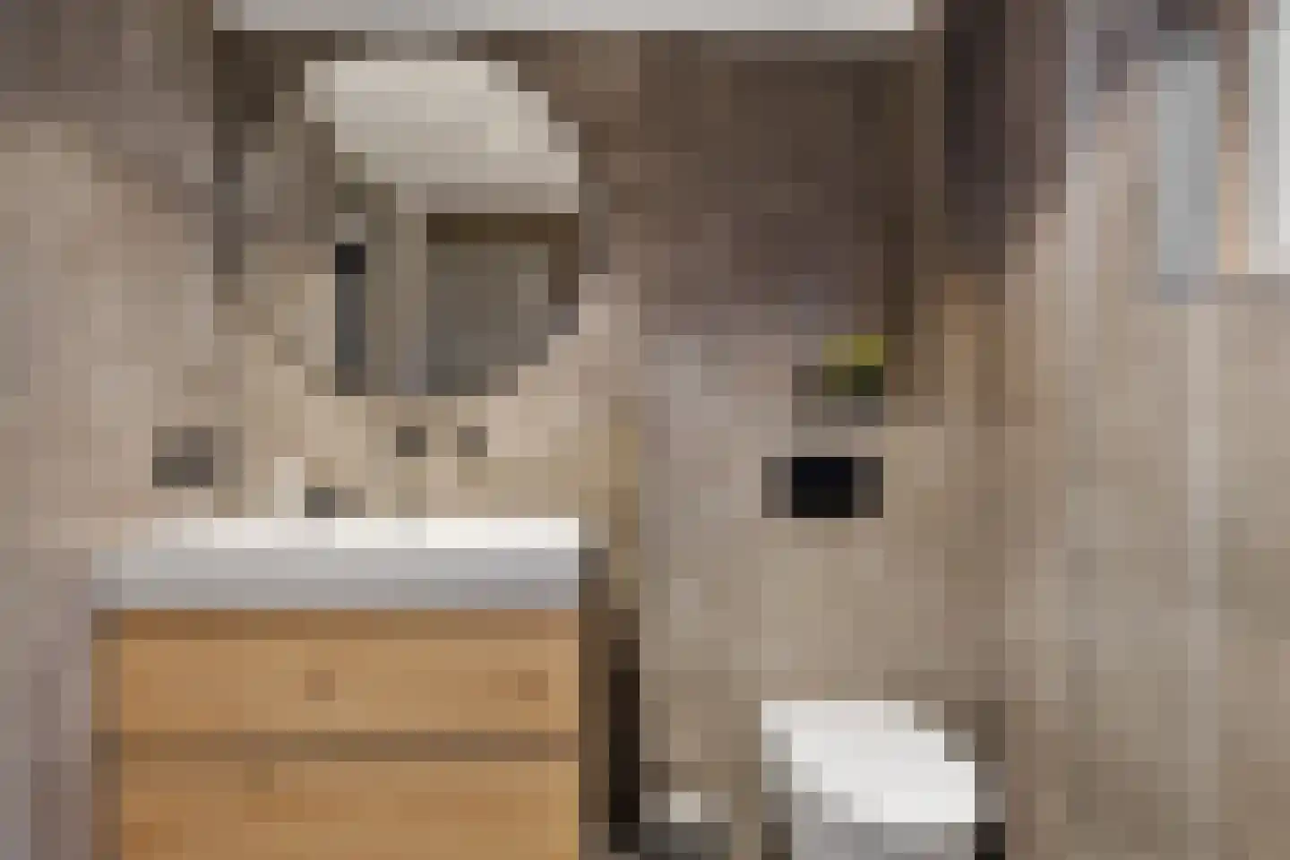 Vincent van Goghlaan 7 Musselkanaal thumbnail 25