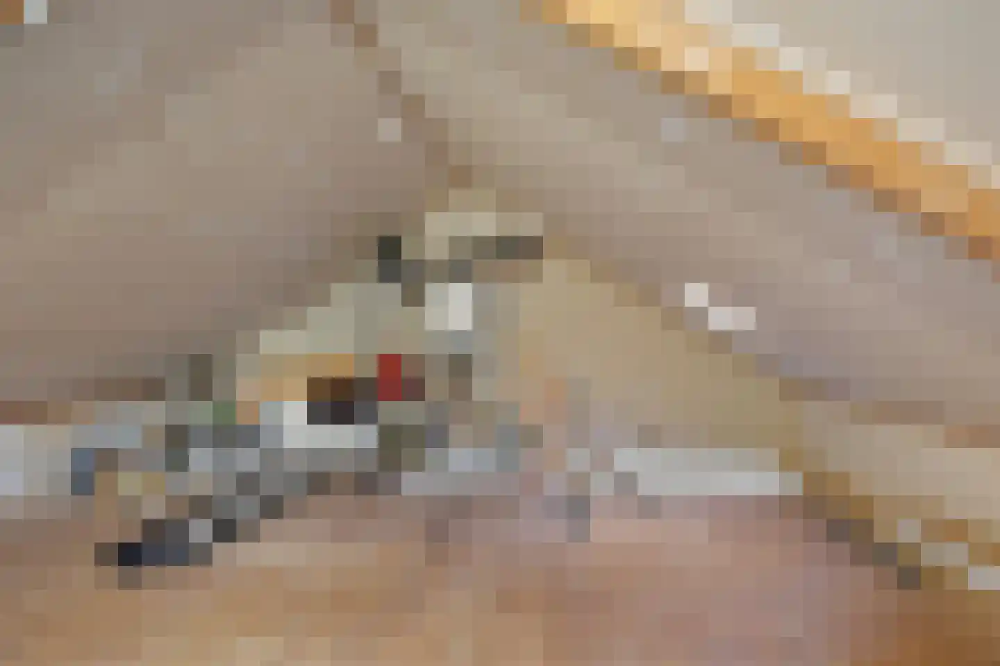 Vincent van Goghlaan 7 Musselkanaal thumbnail 29