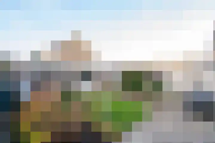Vincent van Goghlaan 70 Papendrecht thumbnail 4