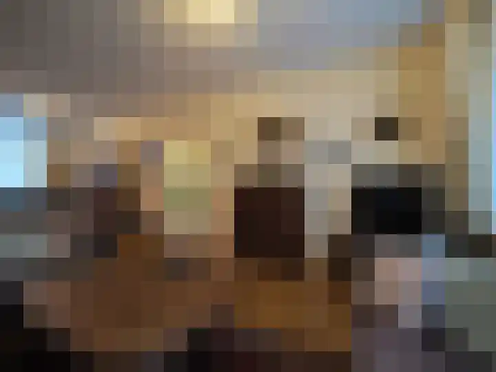 Vincent van Goghlaan 77 Papendrecht thumbnail 10