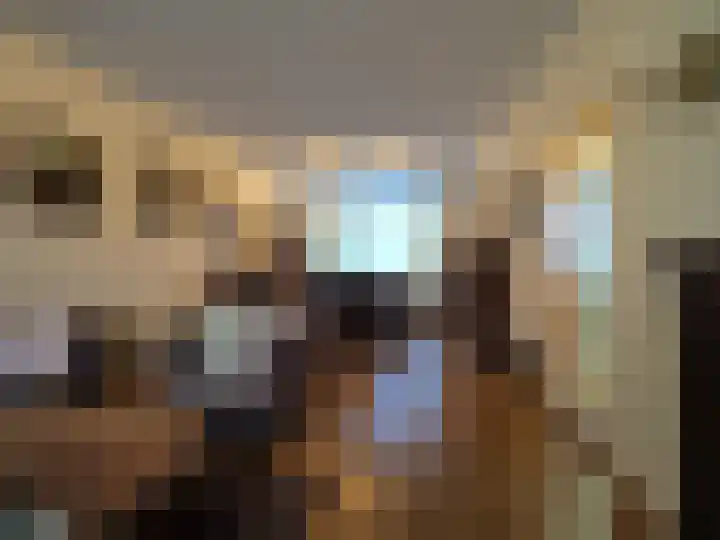 Vincent van Goghlaan 77 Papendrecht thumbnail 11