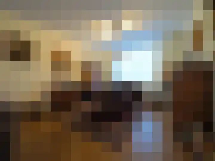 Vincent van Goghlaan 77 Papendrecht thumbnail 12